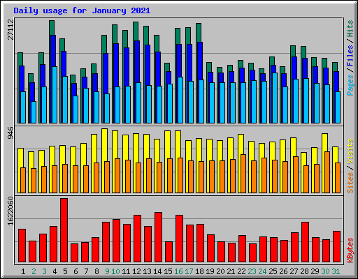 Daily usage for January 2021