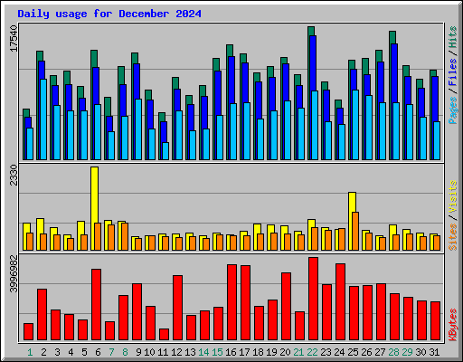 Daily usage for December 2024