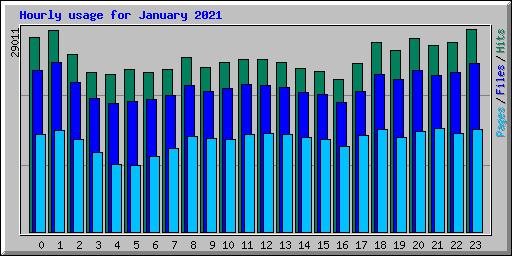 Hourly usage for January 2021