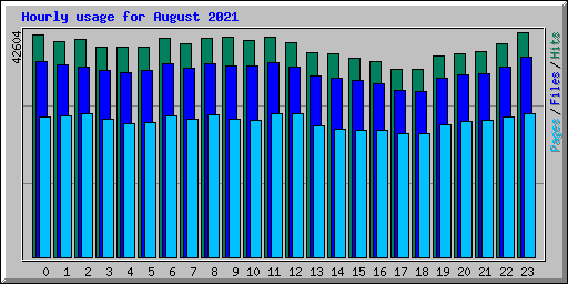 Hourly usage for August 2021