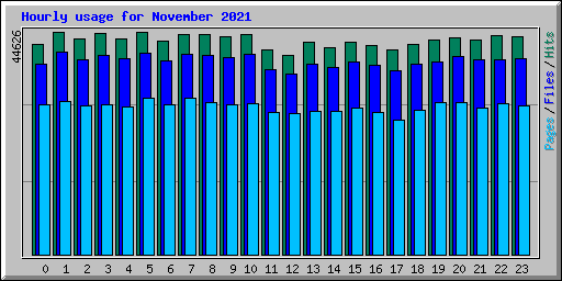 Hourly usage for November 2021