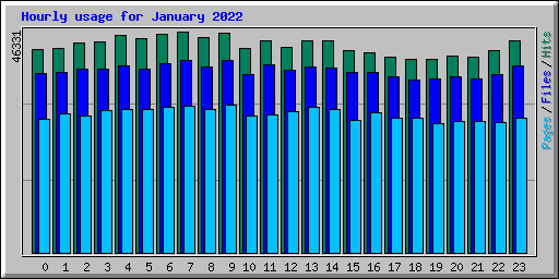 Hourly usage for January 2022