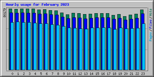 Hourly usage for February 2023