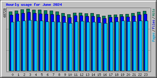 Hourly usage for June 2024