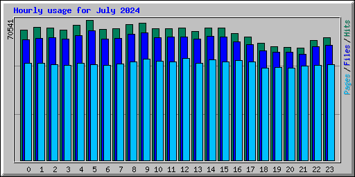 Hourly usage for July 2024