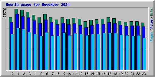 Hourly usage for November 2024