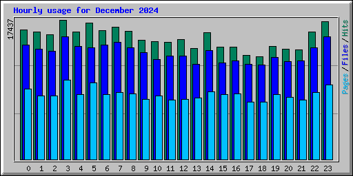 Hourly usage for December 2024