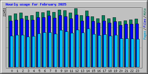 Hourly usage for February 2025