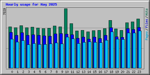 Hourly usage for May 2025