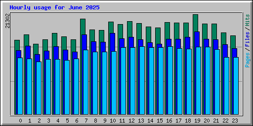 Hourly usage for June 2025