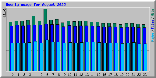 Hourly usage for August 2025
