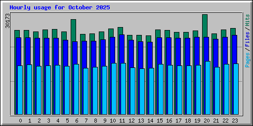 Hourly usage for October 2025