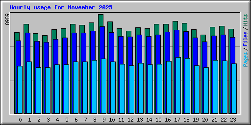 Hourly usage for November 2025