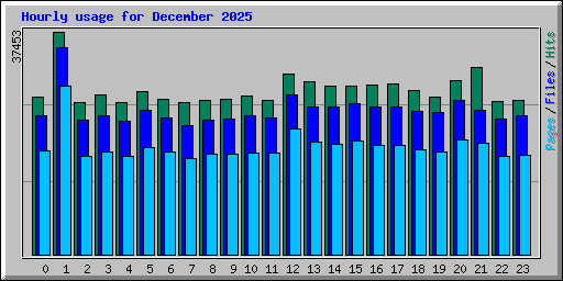 Hourly usage for December 2025