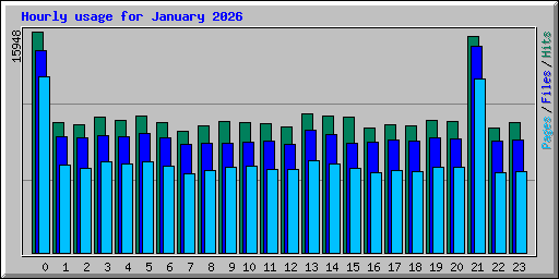 Hourly usage for January 2026