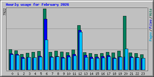 Hourly usage for February 2026
