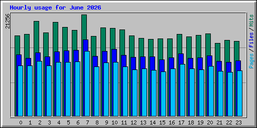 Hourly usage for June 2026