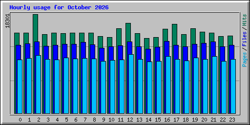 Hourly usage for October 2026